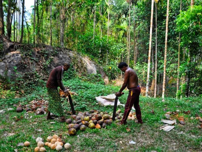 Affittacamere Lose Yourself In Natures Luxury Kalikavu