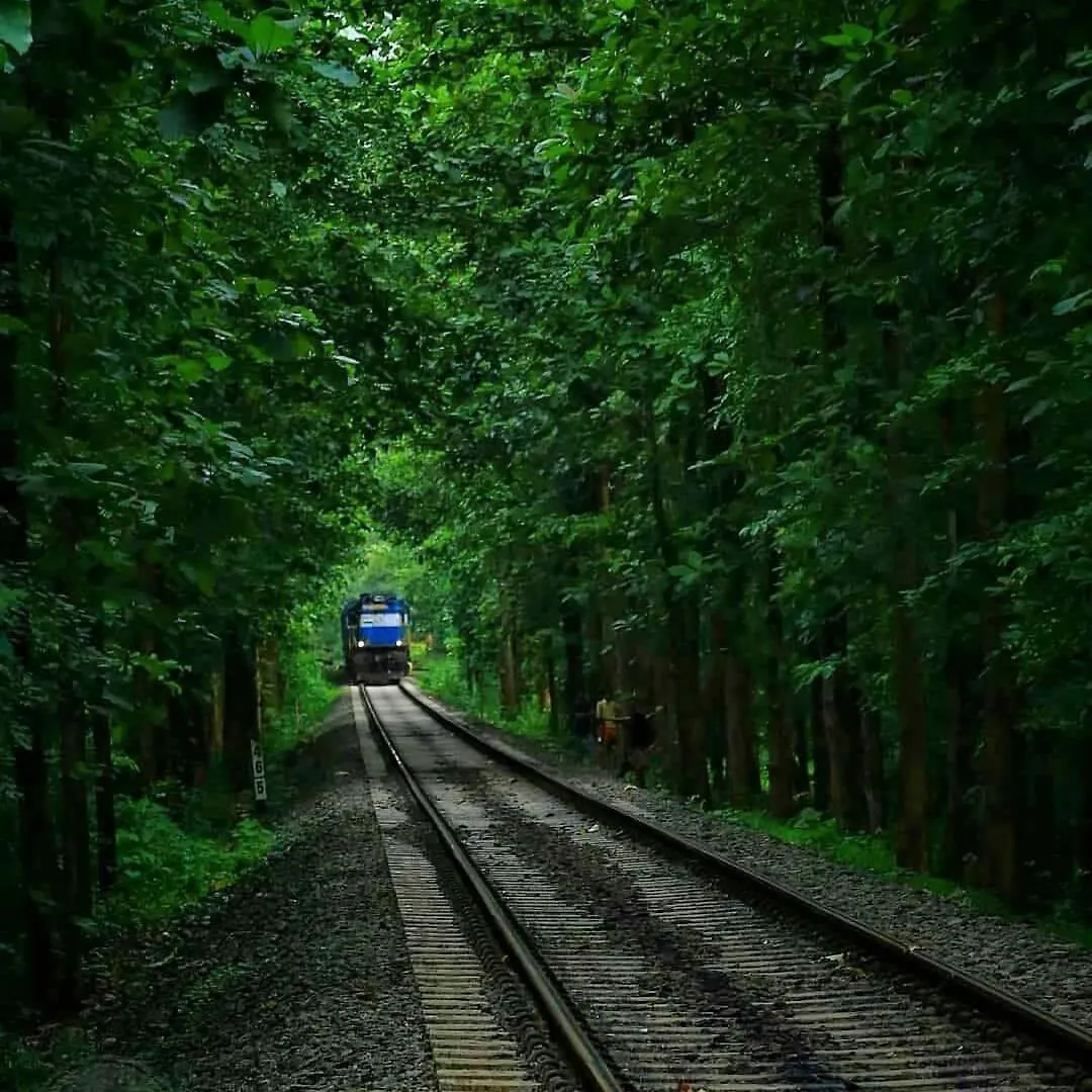 Lose Yourself In Natures Luxury Kalikavu Affittacamere