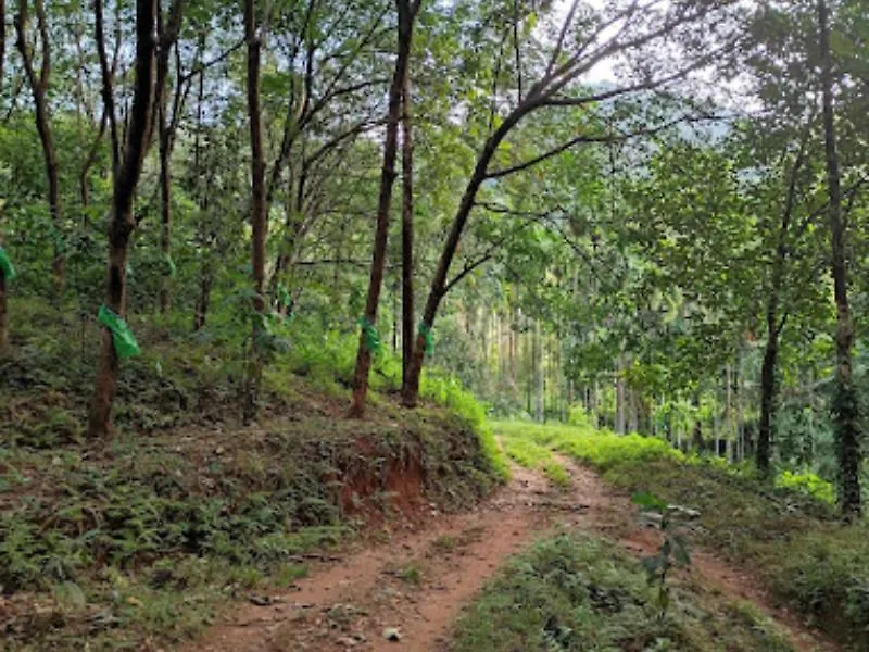 Lose Yourself In Natures Luxury Kalikavu 0*,