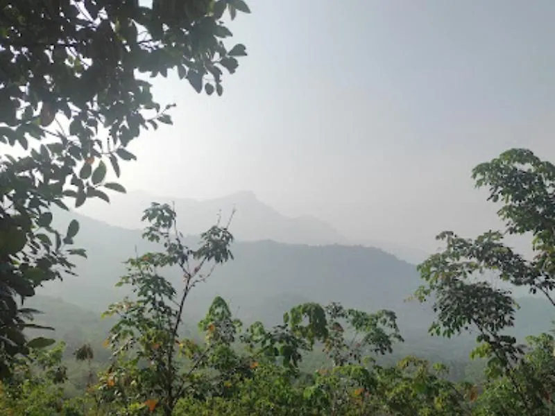 Lose Yourself In Natures Luxury Kalikavu