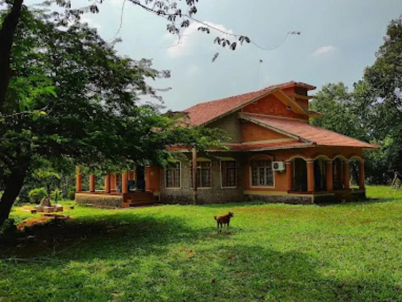 Lose Yourself In Natures Luxury Kalikavu