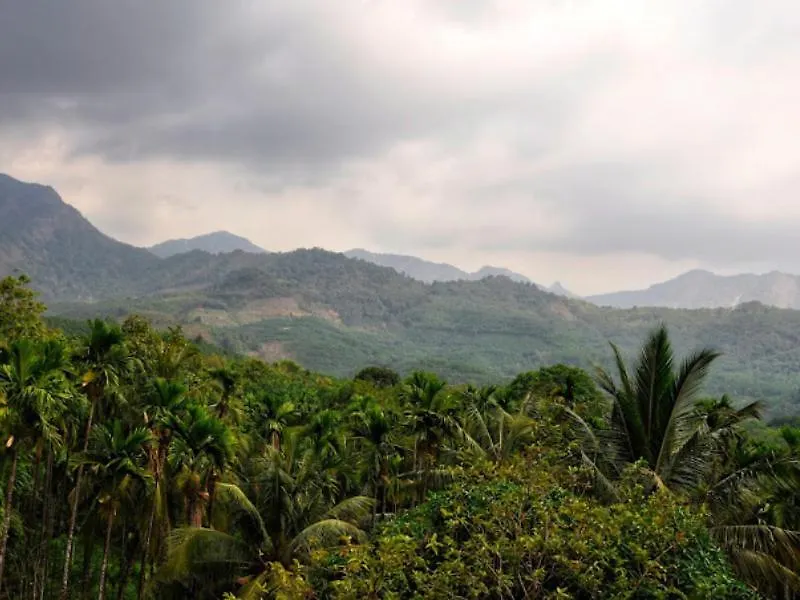 Lose Yourself In Natures Luxury Kalikavu