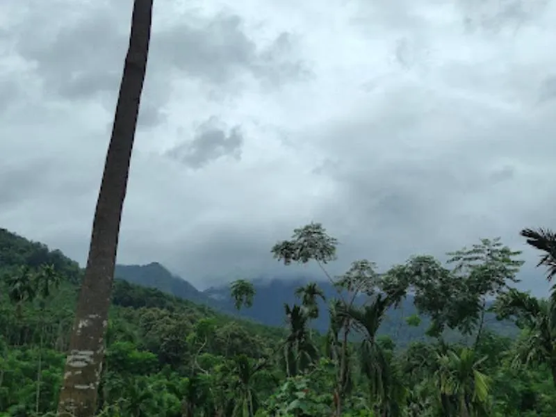 Lose Yourself In Natures Luxury Kalikavu 0*,  India