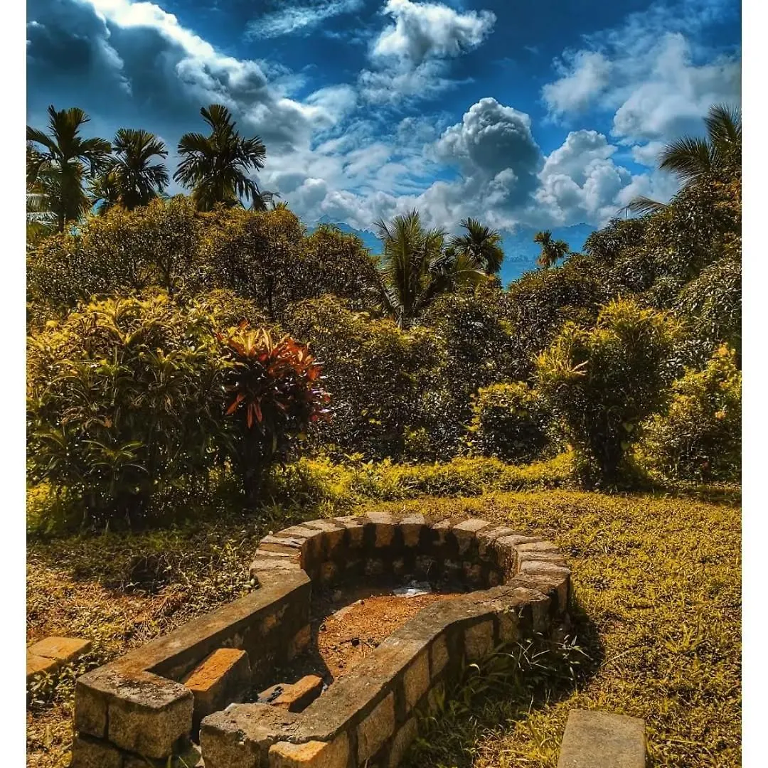 Guest house Lose Yourself In Natures Luxury Kalikavu India