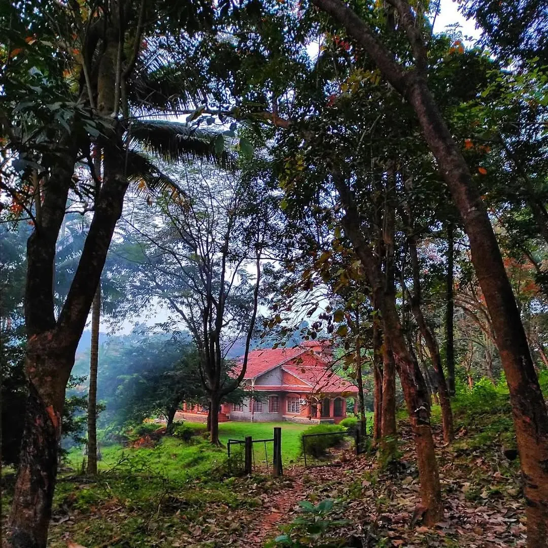 Guest house Lose Yourself In Natures Luxury Kalikavu India