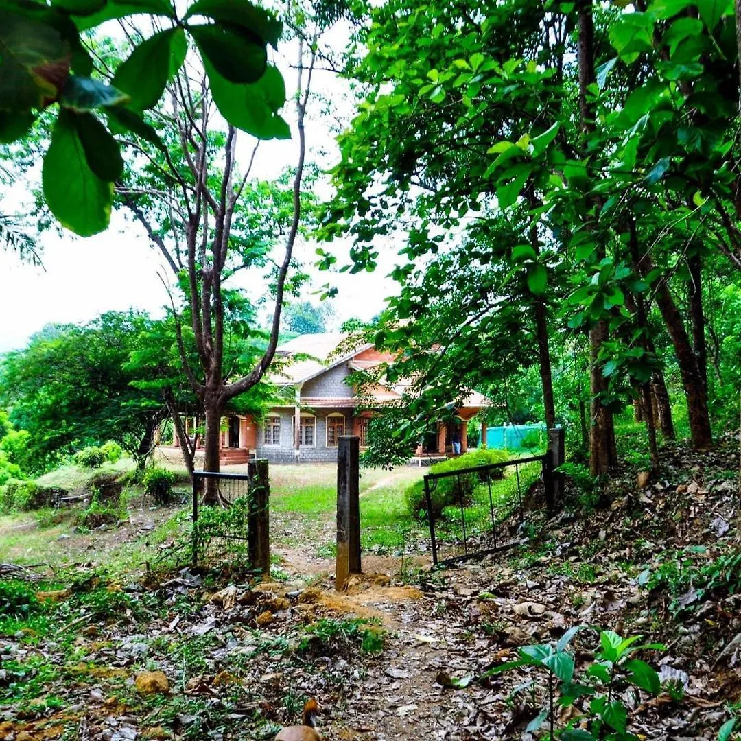 Lose Yourself In Natures Luxury Kalikavu
