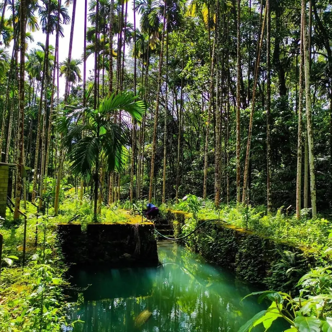 Guest house Lose Yourself In Natures Luxury Kalikavu