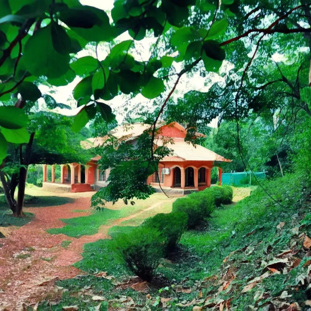 Lose Yourself In Natures Luxury Kalikavu